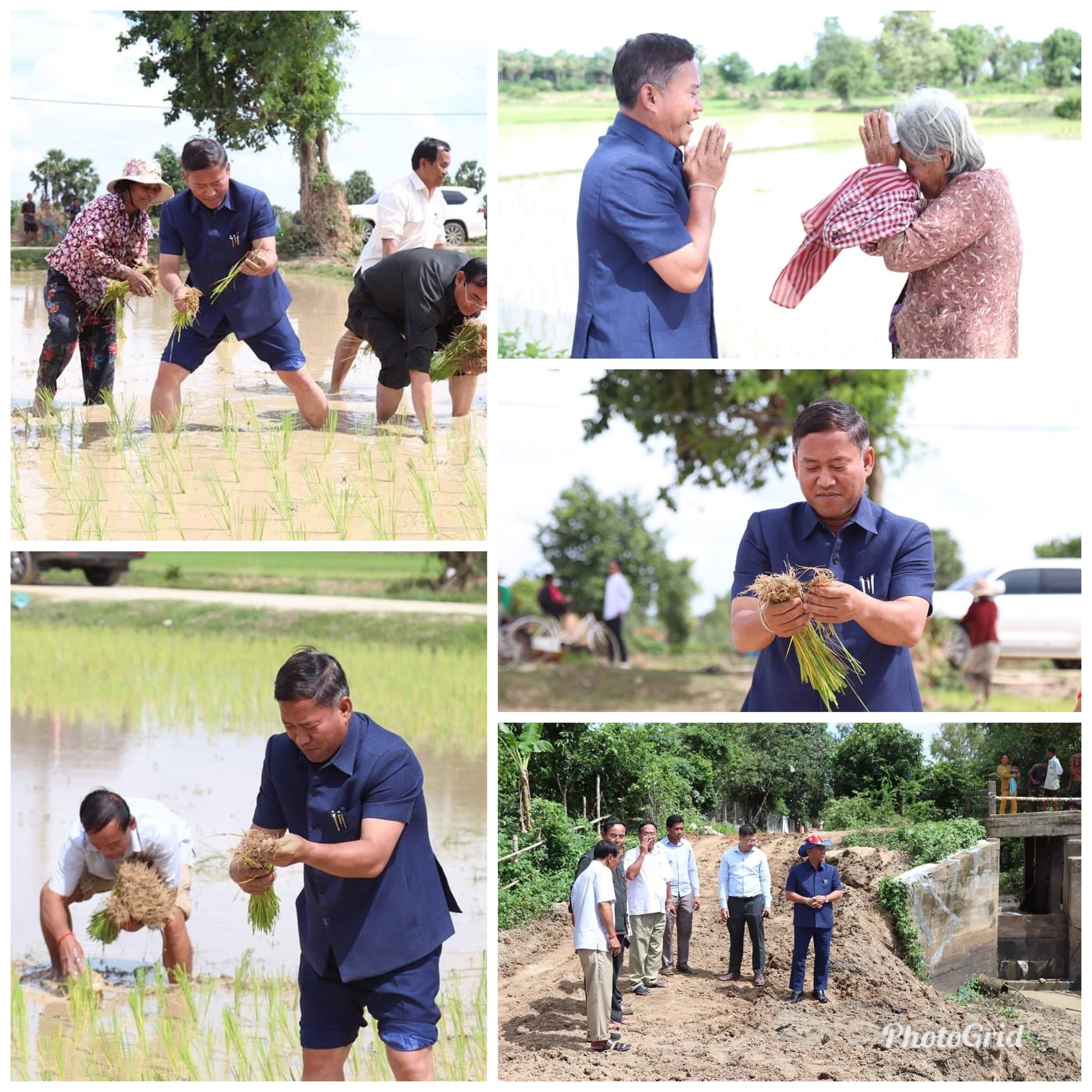 ឯកឧត្តមអភិបាលខេត្តអញ្ជើញចុះពិនិត្យមើលការបង្កបង្កើនផលស្រូវនៅរដូវវស្សារបស់ប្រជាពលរដ្ឋនៅឃុំព្រះនិព្វាន ….!